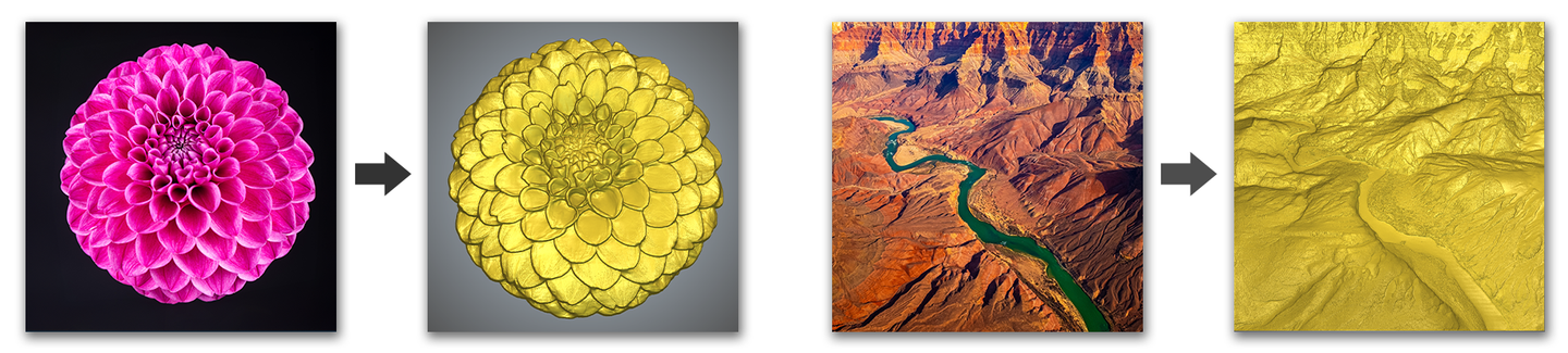 Nature and Landscape.png