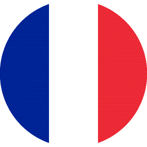 france-flag-round.png